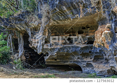 Cave entrance in Lapinha da Serra Cave entrance in Lapinha da Serra 127563012