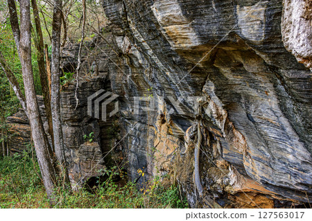 Vertical rocky formation between the trees 127563017