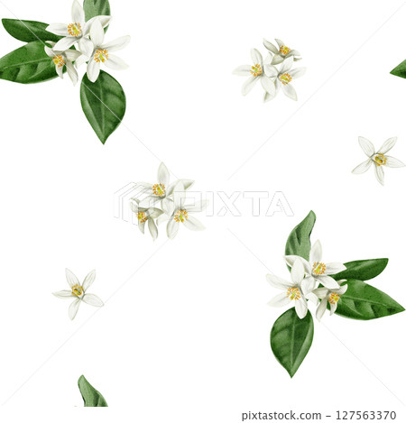 Seamless pattern with white orange blossom flowers and inflorescences. Small white orange flowers. Leaves and petals. Watercolor illustration isolated from the background. Hand drawing. fabric Seamless pattern with white orange blossom flowers and inflorescences. Small white orange flowers. Leaves and petals. Watercolor illustration isolated from the background. Hand drawing. fabric 127563370