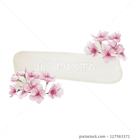 White ribbon with pink flowers. Beige sheet of paper and sakura flowers. Template for inscription. Pink petals, buds and small flowers. Watercolor illustration without background. Hand drawing. White ribbon with pink flowers. Beige sheet of paper and sakura flowers. Template for inscription. Pink petals, buds and small flowers. Watercolor illustration without background. Hand drawing. 127563371