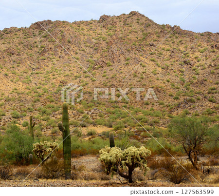 Winter San Tan Mountains Sonoran Desert Arizona 127563599