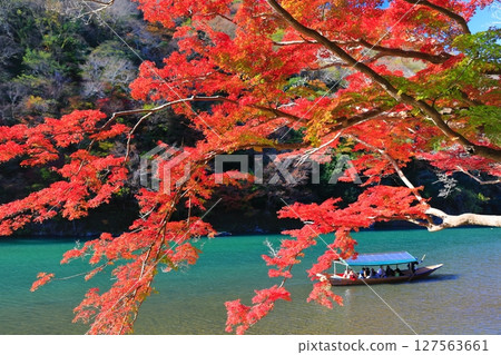 [Kyoto Prefecture] Arashiyama with clear skies and autumn leaves (Arashi Gorge on the Katsura River, Hozu Gorge) 127563661