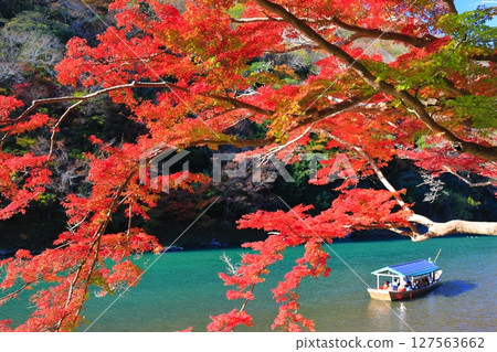 [Kyoto Prefecture] Arashiyama with clear skies and autumn leaves (Arashi Gorge on the Katsura River, Hozu Gorge) 127563662