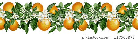 Seamless border of orange fruits and flowers. Branch with citrus white flowers and leaves. Fruits and blooming in spring. Watercolor illustration isolated from background. Hand drawing. Seamless border of orange fruits and flowers. Branch with citrus white flowers and leaves. Fruits and blooming in spring. Watercolor illustration isolated from background. Hand drawing. 127563875