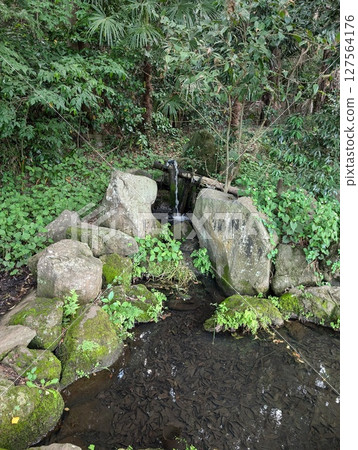 Small waterfall in the forest 127564176
