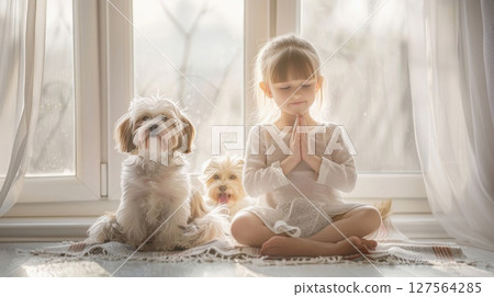 A delightful moment unfolds as a child and happy dogs perform yoga poses in front of a window, showcasing their bond. A delightful moment unfolds as a child and happy dogs perform yoga poses in front of a window, showcasing their bond. 127564285