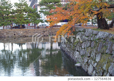 和歌山城護城河沿岸的秋景 和歌山城護城河沿岸的秋景 127564636