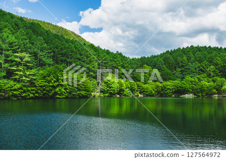 Lake Izumi with fresh greenery, Shimo-Suwa Town 127564972