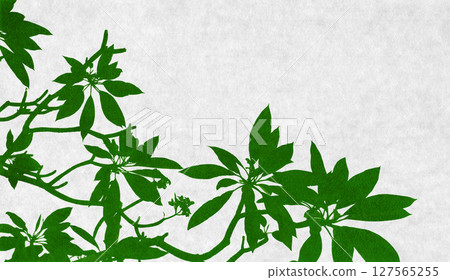 Plumeria silhouette art, tropical summer greenery 127565255
