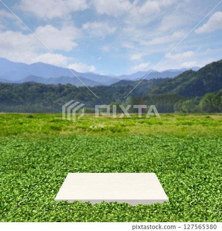 A fantasy landscape of a plateau with greenery and blue skies leading to mountain ranges and an exhibition stand 127565380