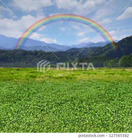 一片夢幻般的風景，綠色植物和藍天一直延伸到山脈，高原上空有一道彩虹。 127565382