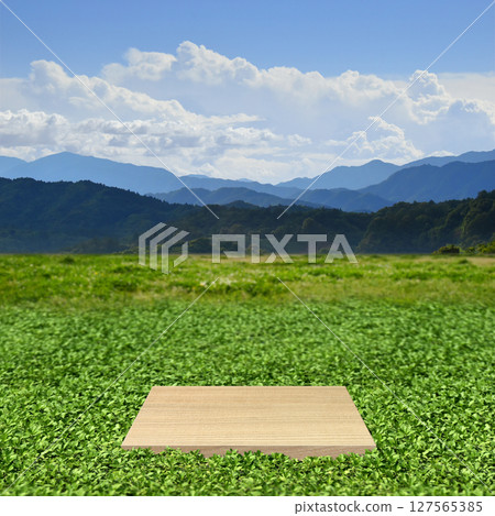 一片夢幻般的高原景觀，綠樹成蔭，藍天白雲，綿延起伏的山脈和展位 127565385