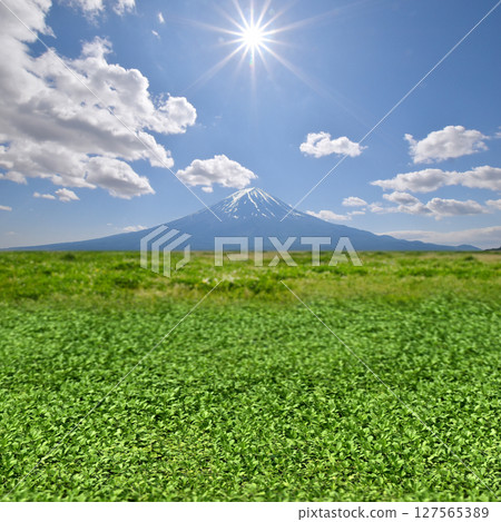 碧綠的天空延伸至富士山，夏日清爽的夢幻風景 127565389