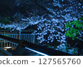 日本櫻桃在晚上 127565760