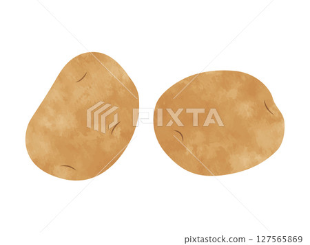 Hand-drawn potato (potato/vegetable) 127565869