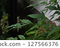 雨淋濕了 127566376