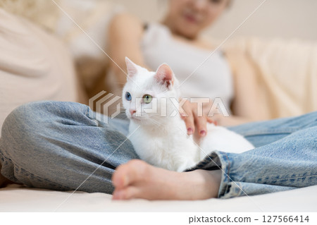 一隻白貓和它的主人在家休息 127566414