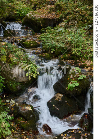 Pretty small waterfall in the forest Pretty small waterfall in the forest 127566830