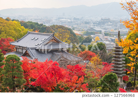 Top view of Kiyomizudera temple with colorful autumn leaf, Kyoto 127566968