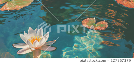 Collage showcases a tranquil water lily alongside a torso, evoking a sense of calm and serenity. 127567379