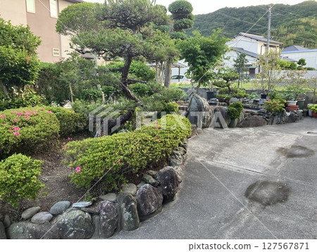 維護良好的花園，石頭和樹木，日本花園 127567871