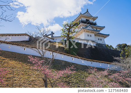 靜岡縣掛川市掛川城的天守閣和櫻花 127568480