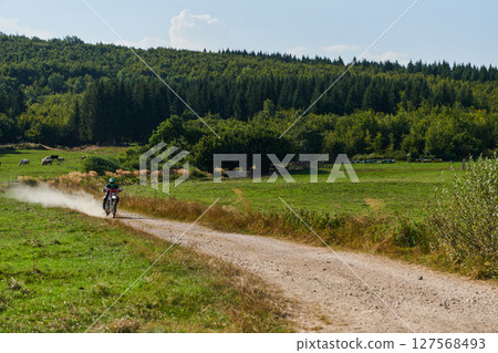 A professional motocross rider exhilaratingly riding a treacherous off-road forest trail on their motorcycle. A professional motocross rider exhilaratingly riding a treacherous off-road forest trail on their motorcycle. 127568493