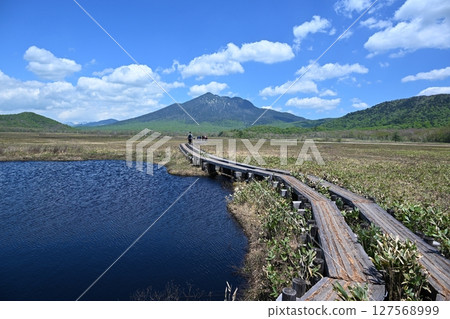 群馬縣尾瀨和燧岳的木板路 127568999