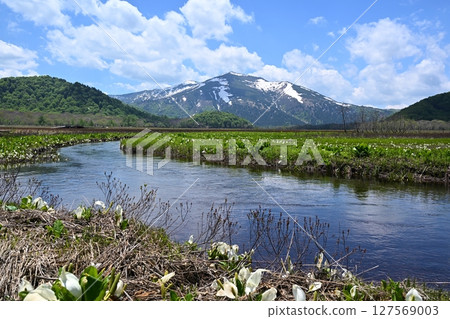 Mount Shibutsu and skunk cabbage from Shimono-Ohori, Gunma 127569003