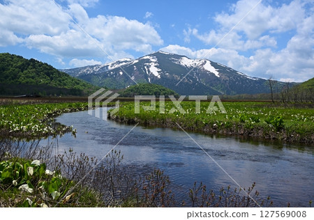 Mount Shibutsu and skunk cabbage from Shimono-Ohori, Gunma Mount Shibutsu and skunk cabbage from Shimono-Ohori, Gunma 127569008
