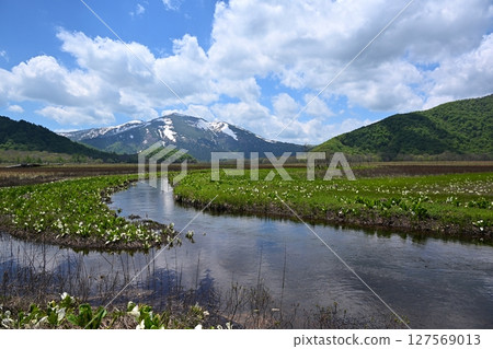 Mount Shibutsu and skunk cabbage from Shimono-Ohori, Gunma Mount Shibutsu and skunk cabbage from Shimono-Ohori, Gunma 127569013