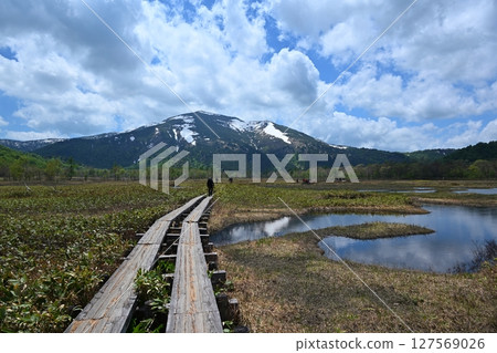 Boardwalks and Mount Shibutsu in Oze, Gunma Boardwalks and Mount Shibutsu in Oze, Gunma 127569026