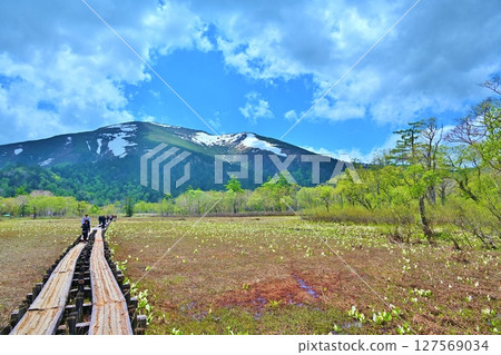 群馬縣尾瀨的木板路和志佛山 群馬縣尾瀨的木板路和志佛山 127569034
