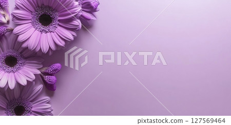 Minimalistic floral frame with vibrant purple gerbera daisies and petals on soft pastel background. Perfect for greeting cards, wedding invites, spring promotions, or text overlay. Copy space 127569464
