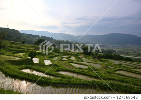長野縣小舍梯田的黃昏 長野縣小舍梯田的黃昏 127569548