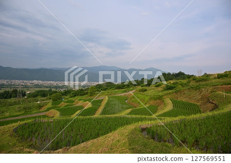 Obasute rice terraces at dusk, Nagano 127569551