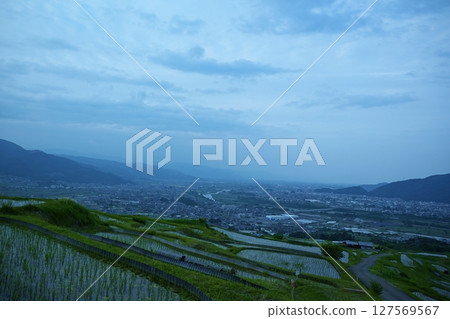 Obasute rice terraces at dusk, Nagano 127569567