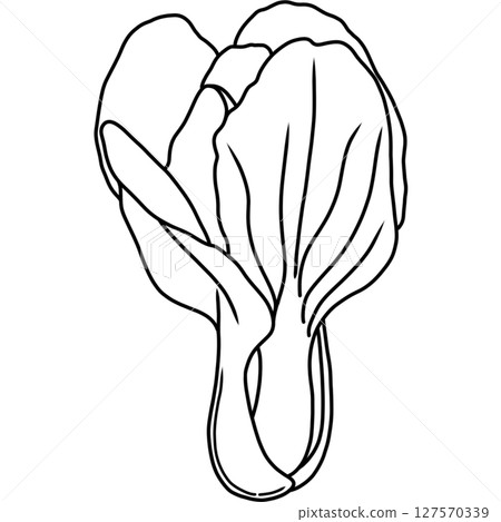 Pakchoi Pakchoi 127570339