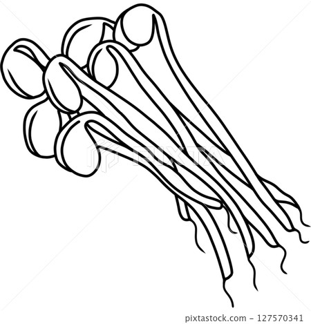 Bean sprouts 127570341