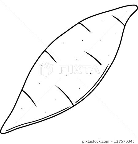 Purple sweet potato Purple sweet potato 127570345