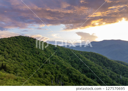 Bright sunset in Smokey Mountains summer woods. Appalachian mountains in North Carolina with fresh green forest trees in summertime season. Beauty of USA nature Bright sunset in Smokey Mountains summer woods. Appalachian mountains in North Carolina with fresh green forest trees in summertime season. Beauty of USA nature 127570695