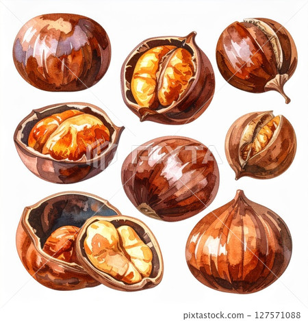 Watercolor Chestnuts: Detailed Autumn Nut Illustration Watercolor Chestnuts: Detailed Autumn Nut Illustration 127571088