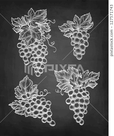 Chalk sketch of grapes. 127571743