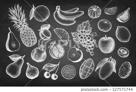 Fruits big set chalk sketch. 127571744