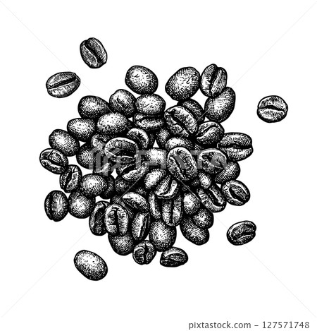 A handful of coffee beans ink sketch. 127571748