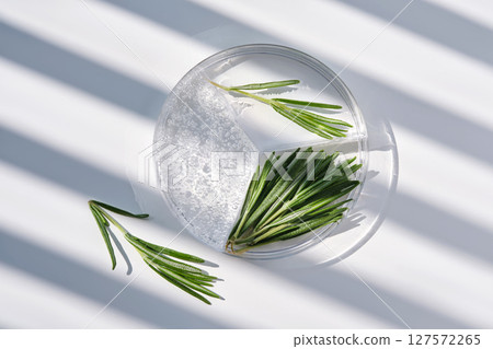Rosemary serum in a petri dish on a background with streaks of shadows. 127572265