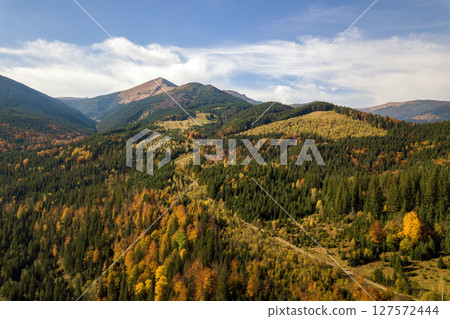Aerial view of autumn mountain landscape with evergreen pine trees and yellow fall forest with magestic mountains in distance. 127572444