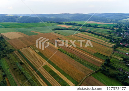 Aerial landscape view of green cultivated agricultural fields with growing crops on bright summer day 127572477