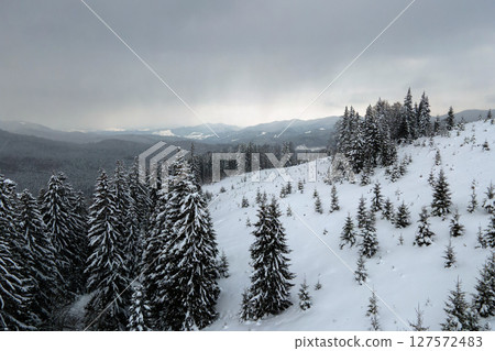 Aerial foggy landscape with evergreen pine trees covered with fresh fallen snow after heavy snowfall in winter mountain forest on cold quiet evening. Aerial foggy landscape with evergreen pine trees covered with fresh fallen snow after heavy snowfall in winter mountain forest on cold quiet evening. 127572483