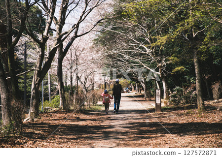 [Yamashina Canal] Beautiful cherry blossoms and a historic waterway 127572871
